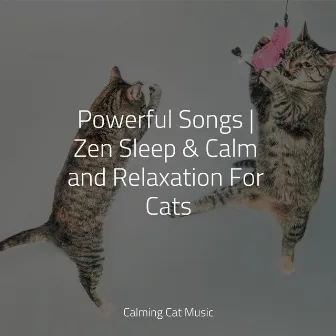 Powerful Songs | Zen Sleep & Calm and Relaxation For Cats by Official Pet Care Collection