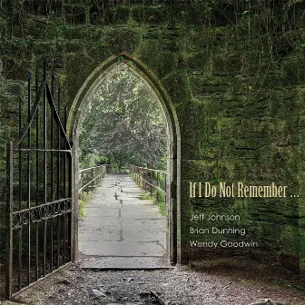 If I Do Not Remember... by Brian Dunning