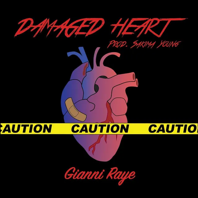 Damaged Heart