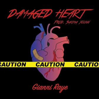 Damaged Heart by Gianni Raye