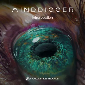 Introspection by Minddigger