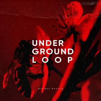 Minimal Meeting by Underground Loop