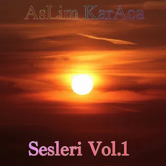 Sesleri, Vol. 1 by Aslim Karaca