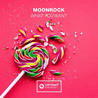 What You Want by Moonrock