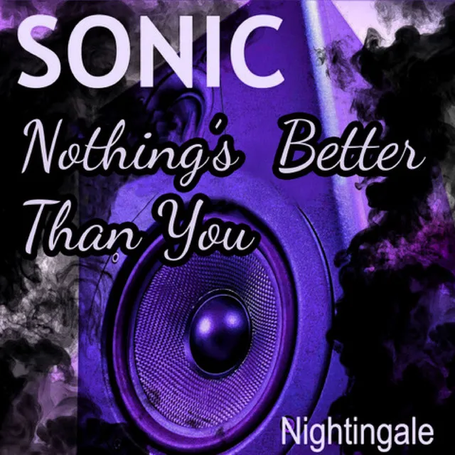 Sonic Nothing's Better Than You