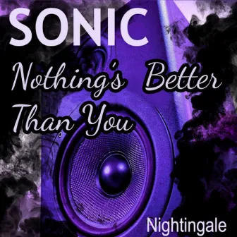 Sonic Nothing's Better Than You by Nightingale