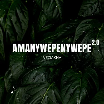 AMANYWEPENYWEPE 2.0 by VeziAkha