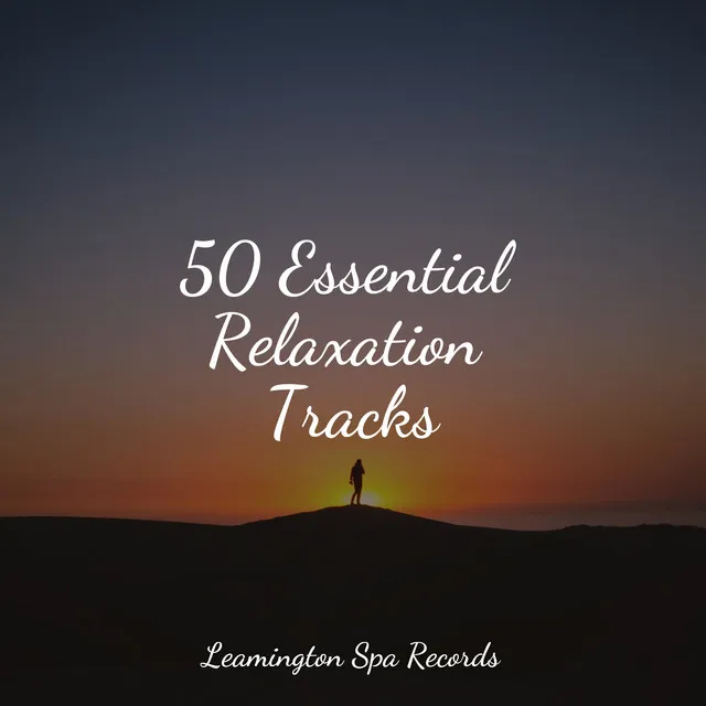 50 Essential Relaxation Tracks