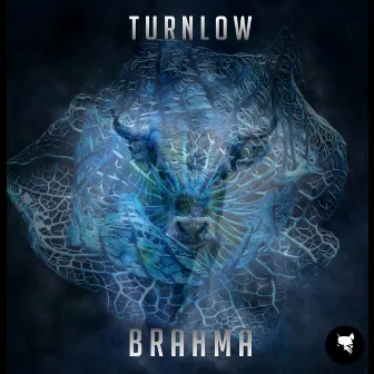 Brahma by Turnlow