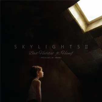 Skylights II by Bad Habitat