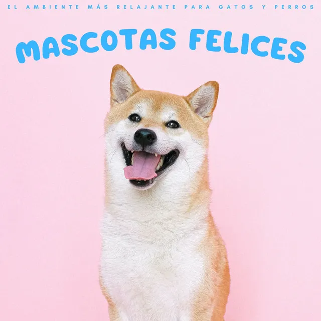 Mascotas Felices: El Ambiente Más Relajante Para Gatos Y Perros