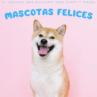 Mascotas Felices: El Ambiente Más Relajante Para Gatos Y Perros by Perro dormir