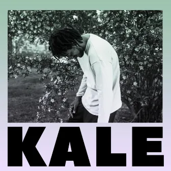 Kale by Joseph Chilliams