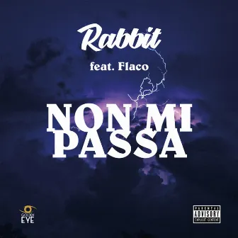 Non mi passa by Rabbit