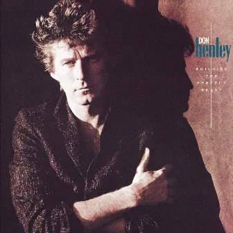 Building The Perfect Beast by Don Henley