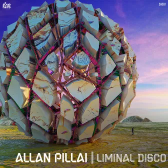 Liminal Disco by Allan Pillai