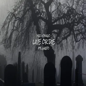 Live or Die by FTS Guapo