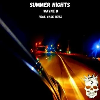 Summer Nights by Wayne B