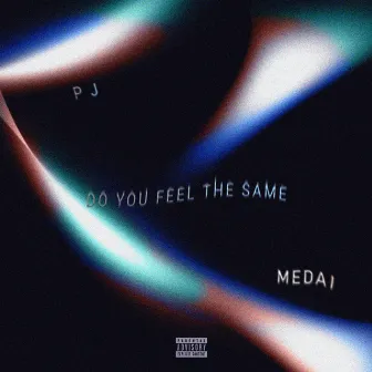 DO YOU FEEL THE SAME by p j