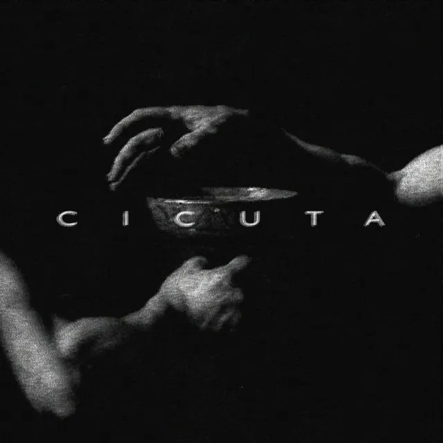 Cicuta