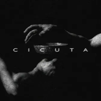 Cicuta by Andrew Mac