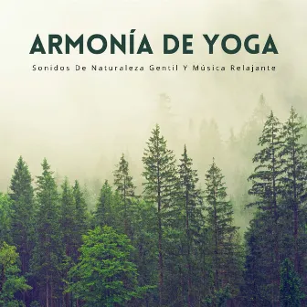 Armonía De Yoga: Sonidos De Naturaleza Gentil Y Música Relajante by El proyecto de música de canto y mantra de yoga