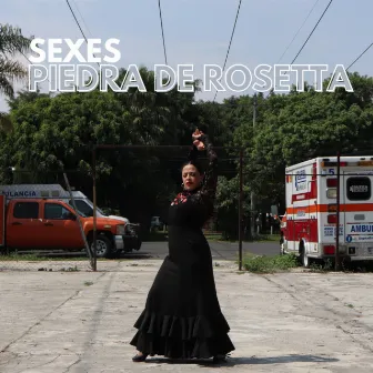 Piedra de Rosetta by SEXES