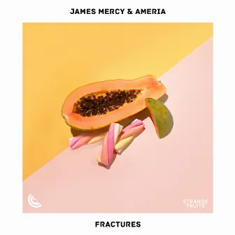 Fractures by James Mercy