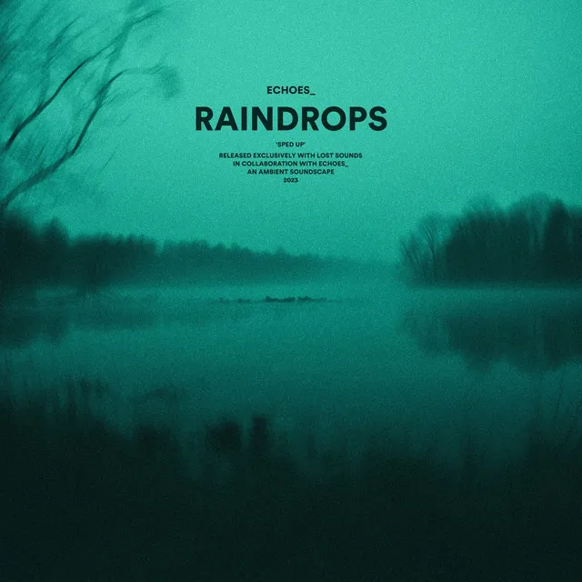 raindrops (sped up)