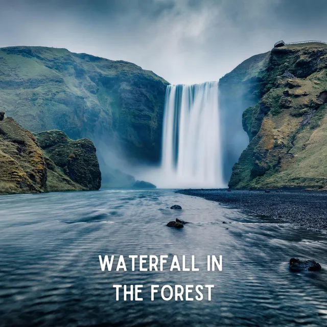 Waterfall In The Forest