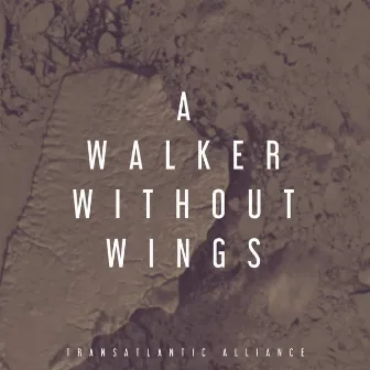 A Walker Without Wings by Transatlantic Alliance