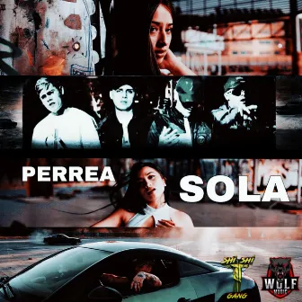 Perrea Sola by SBS YOUNGWOLF