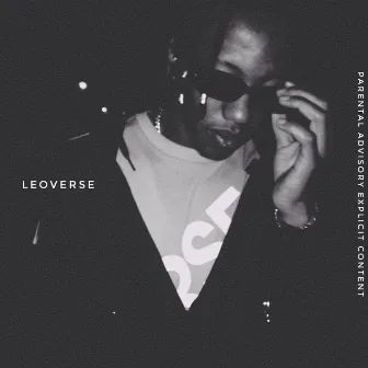 Leoverse by Leo Owlay