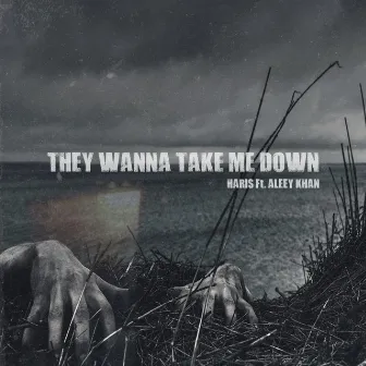 They Wanna Take Me Down by Rana Haris