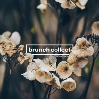 Comfort Zone by Brunch Collect