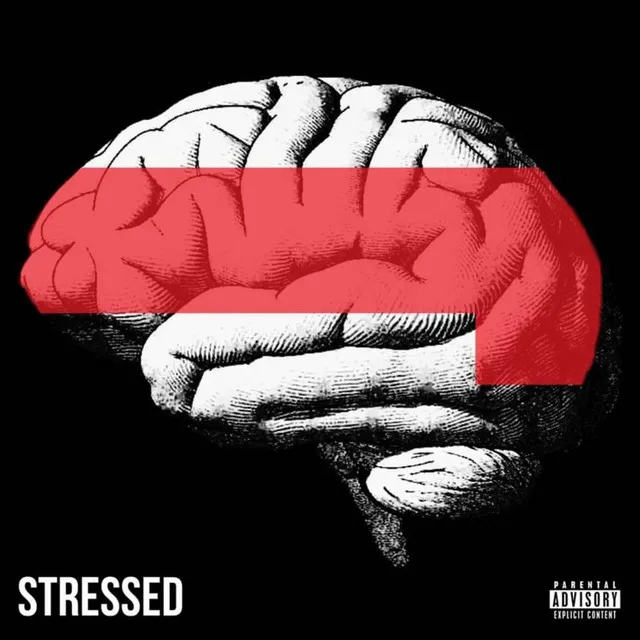 STRESSED II