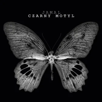 Czarny motyl by Jamal