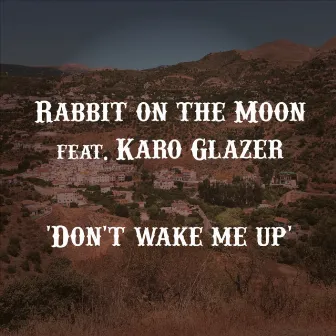 Don’t Wake Me Up by Rabbit on the Moon