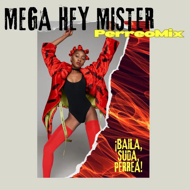 Mega Hey Mister (Perreomix)