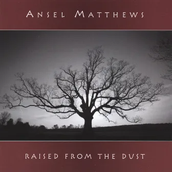 Raised From The Dust by Ansel Matthews