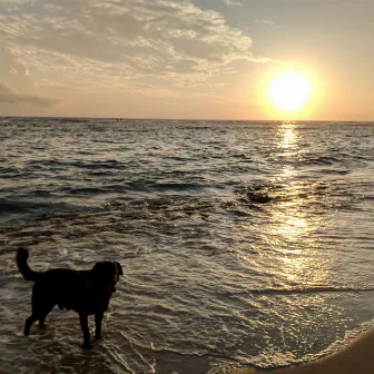 Calm Ocean Waves of Dog Companionship: Beachside Bark by 