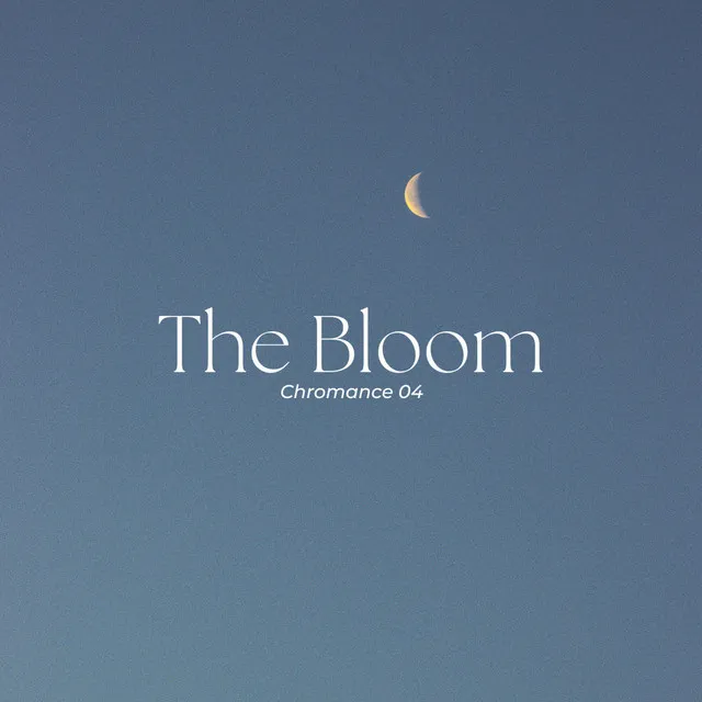 The Bloom instru