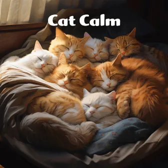 Cat Calm by James Daniel