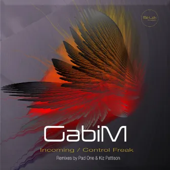 Incoming / Control Freak by GabiM