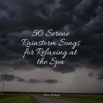 50 Serene Rainstorm Songs for Relaxing at the Spa by Sleep Rain