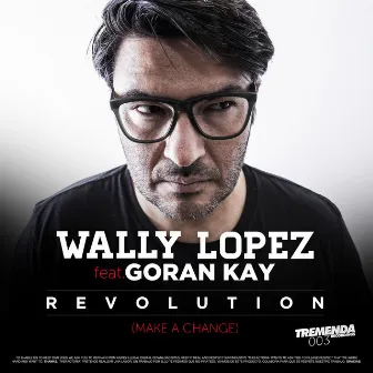 Revolution (Make a Change) by Goran Kay