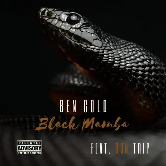 Black Mamba by Ben Cold