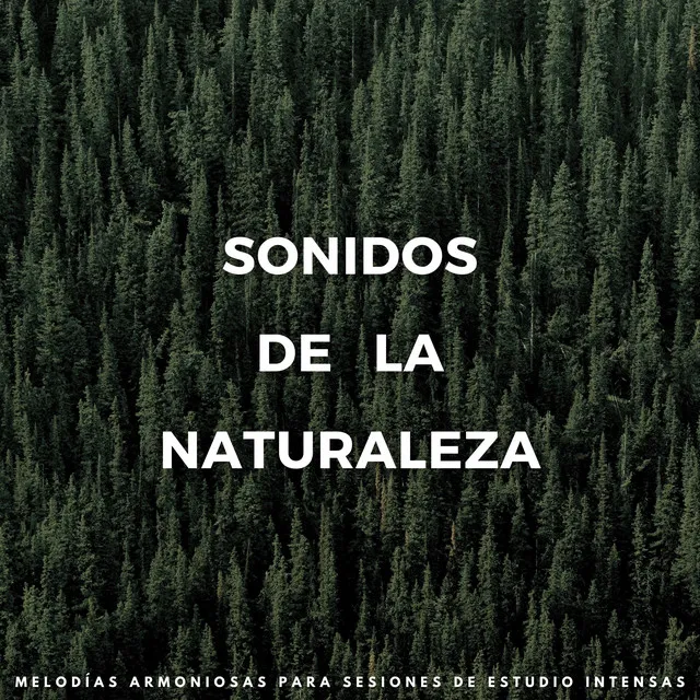 Sonidos De La Naturaleza : Melodías Armoniosas Para Sesiones De Estudio Intensas