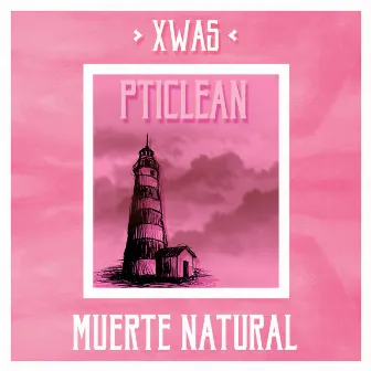 Piticlean by Xwas