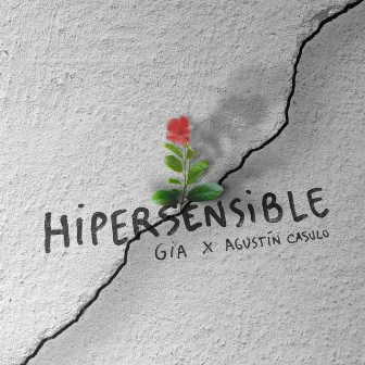 Hipersensible by Agustin Casulo